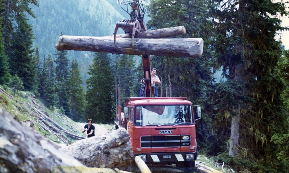 Bachmann Group (Transport & Commerce) — foto 4