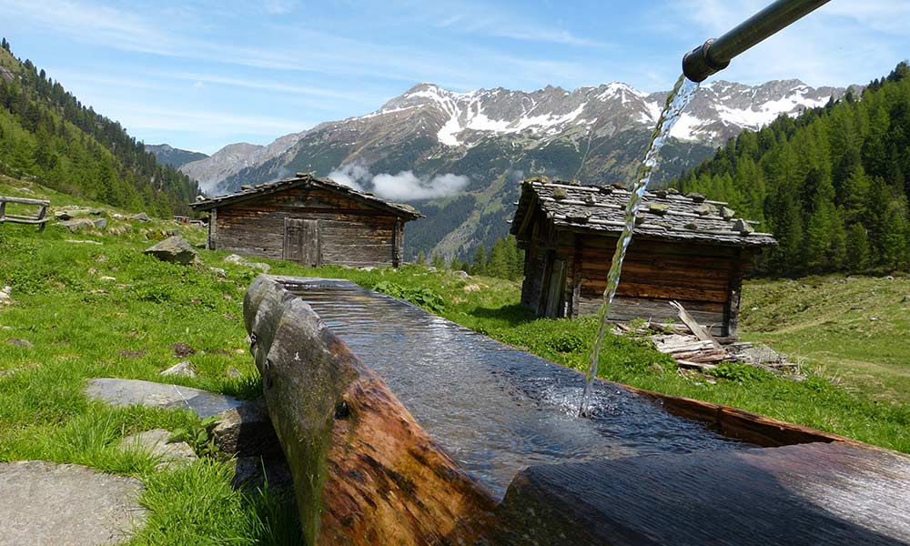 Qualità ed Ecologia